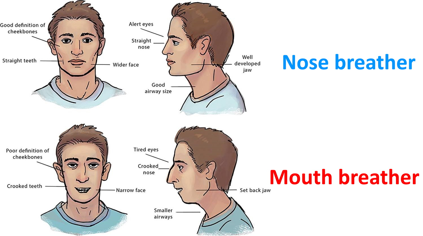 Mouth Tape (60D Supply)